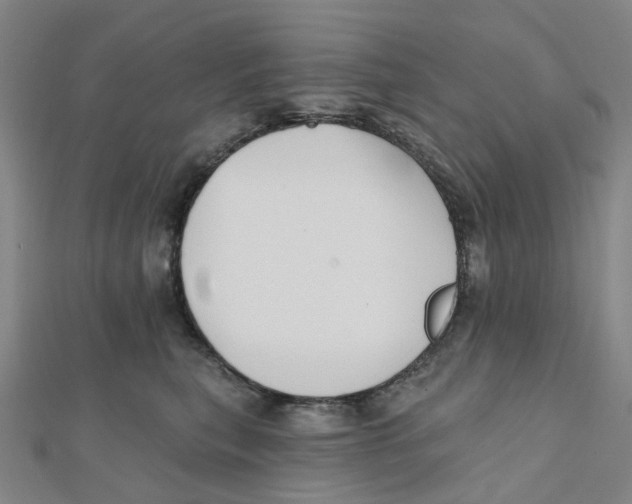 X0000112080567200909011046