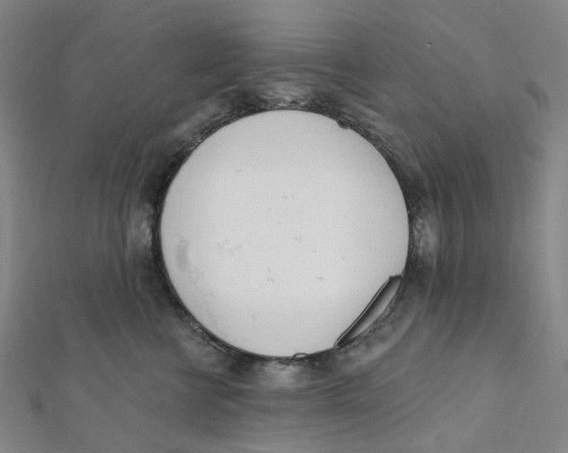 X0000112080570200909011046