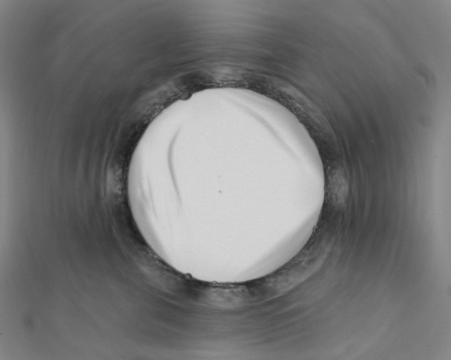 X0000112080571200909011046