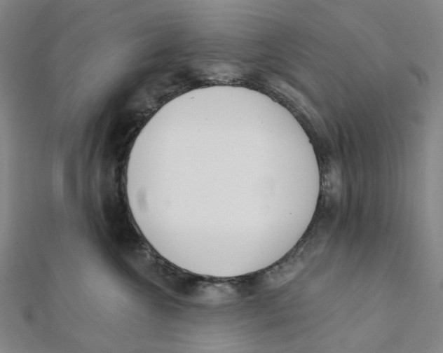 X0000112080572200909011046