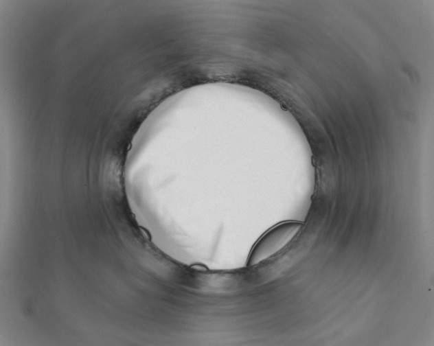 X0000112080575200909011046