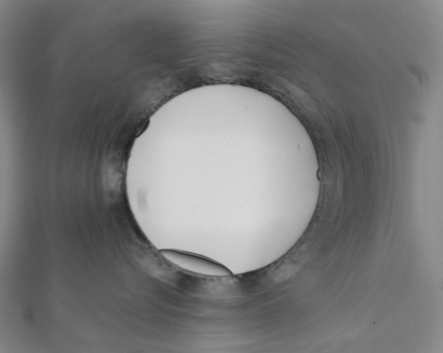 X0000112080576200909011046