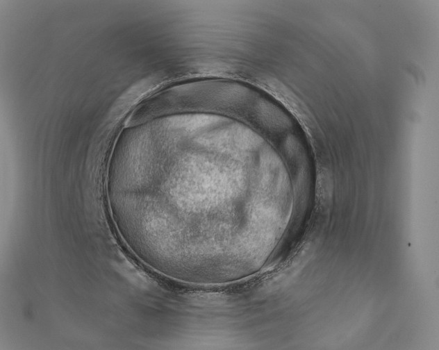 X0000112080577200909011046