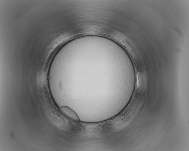 X0000112080579200909011046