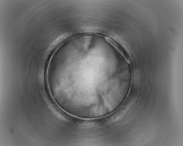 X0000112080581200909011046