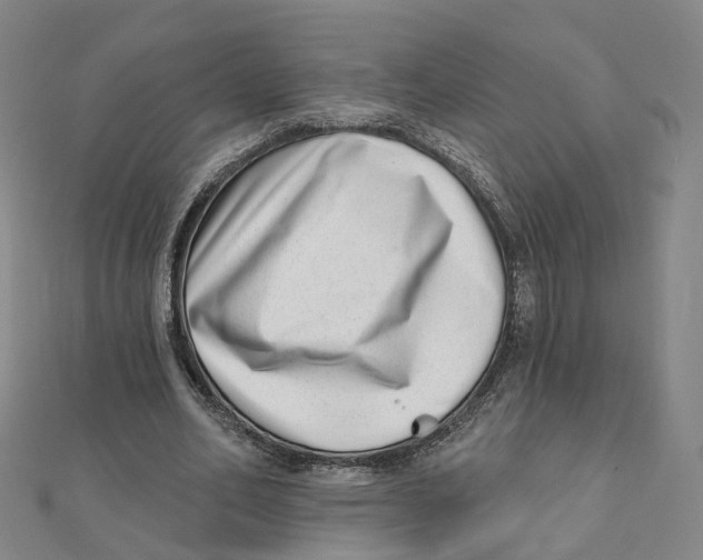 X0000112080582200909011046