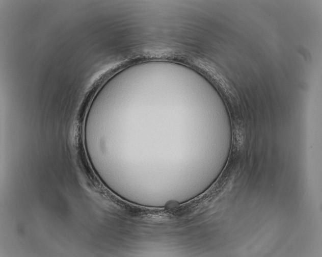 X0000112080583200909011046