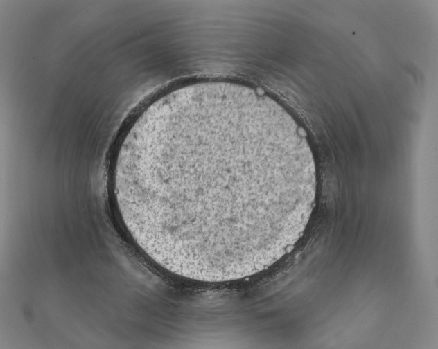 X0000112080584200909011045