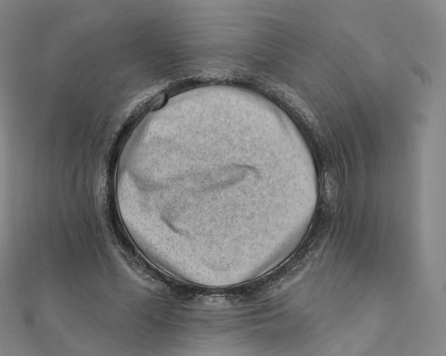 X0000112080588200909011045
