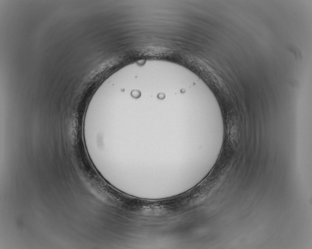 X0000112080591200909011045