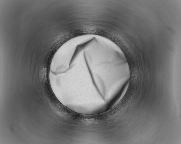 X0000112080598200909011045