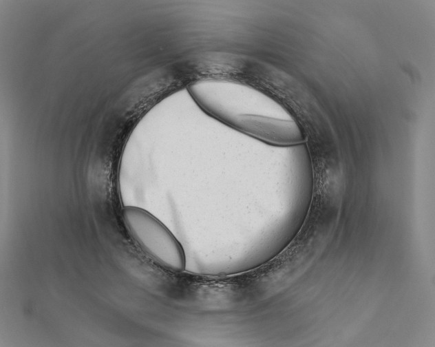 X0000112080599200909011045