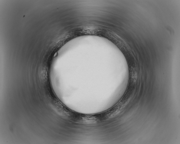X0000112080603200909011045