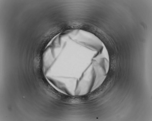 X0000112080604200909011045