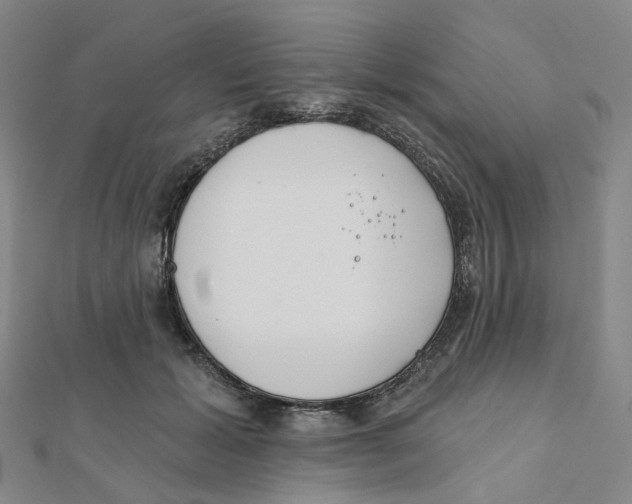X0000112080605200909011045