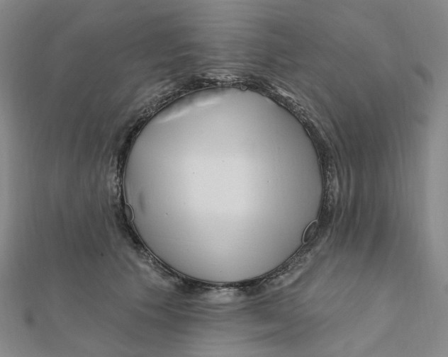 X0000112080609200909011045