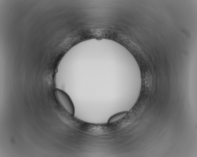 X0000112080611200909011045
