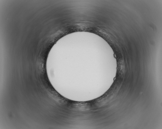 X0000112080615200909011045