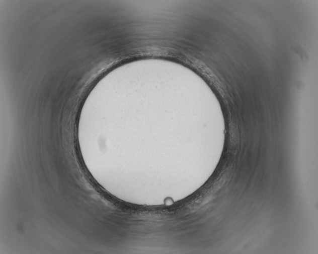 X0000112080625200909011044