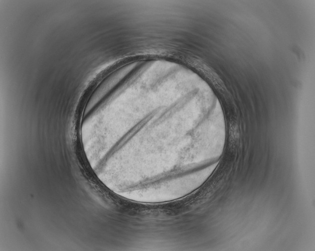 X0000112080628200909011044