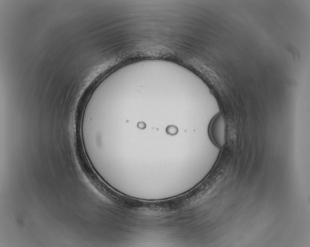 X0000112080630200909011044