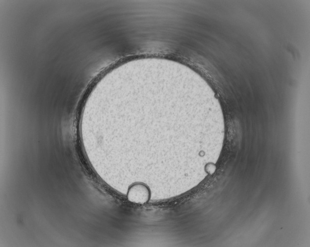 X0000112080632200909011044