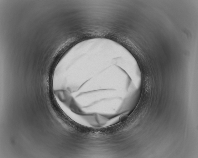 X0000112080634200909011044