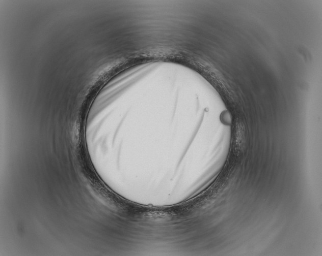 X0000112080636200909011044
