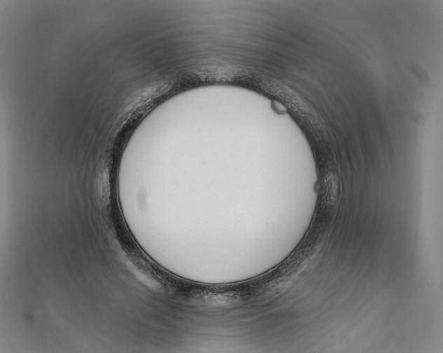 X0000112080638200909011044