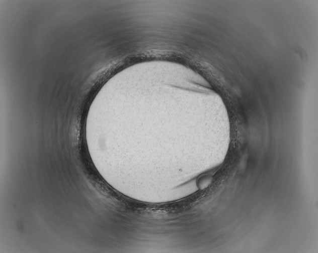X0000112080640200909011044