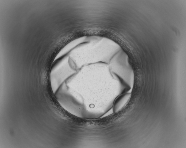 X0000112080641200909011044