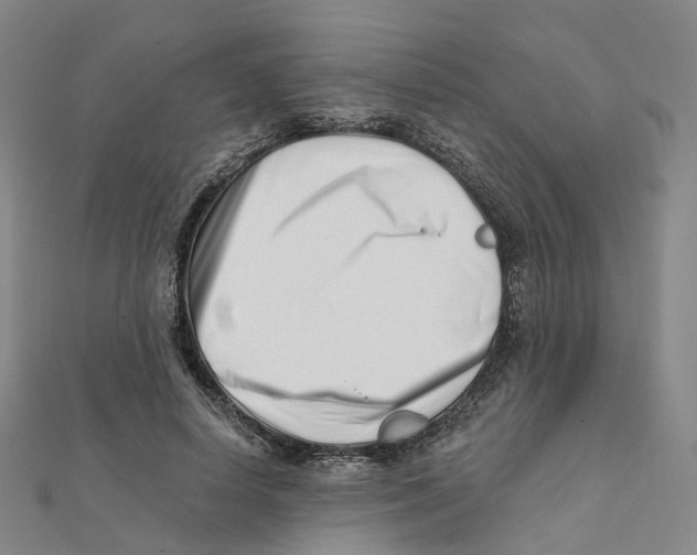 X0000112080642200909011044