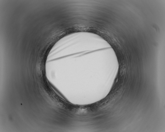 X0000112080647200909011044