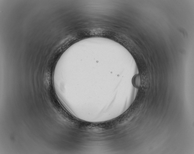 X0000112080648200909011044