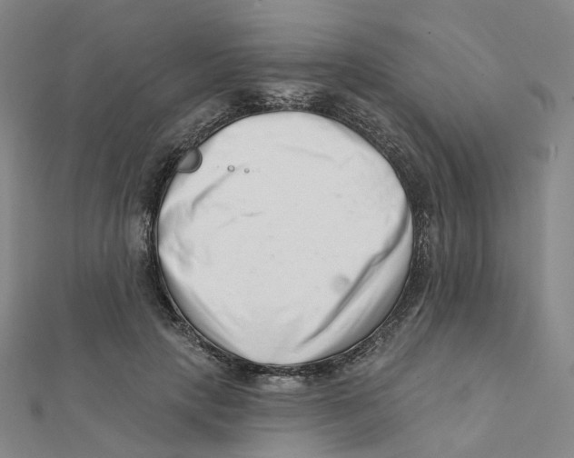 X0000112080649200909011044