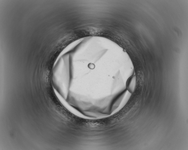 X0000112080650200909011044