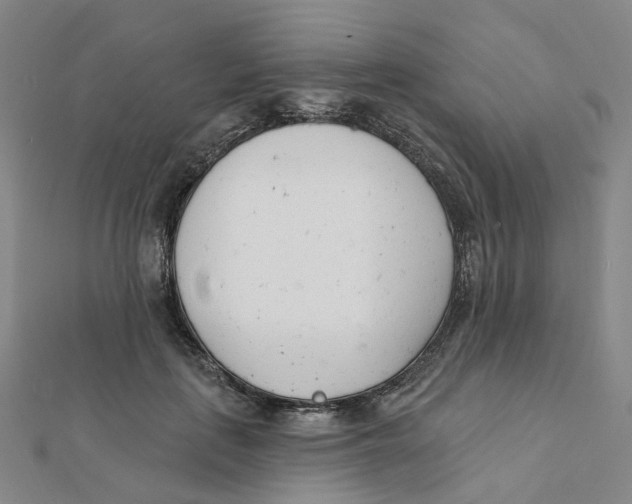 X0000112080651200909011044