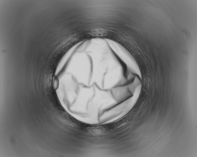 X0000112080652200909011044