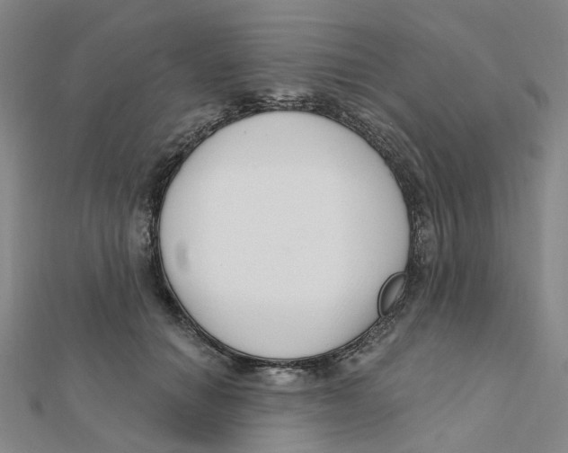 X0000112080654200909011045
