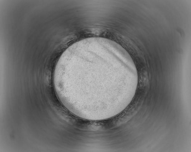X0000112080656200909011045