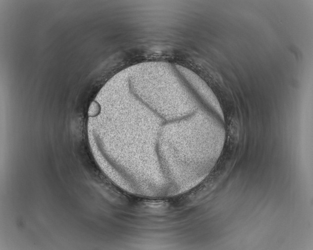 X0000112080659200909011045