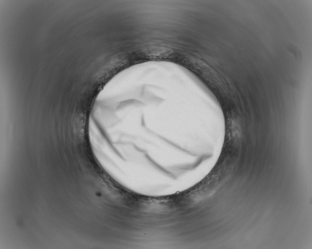 X0000112080664200909011045
