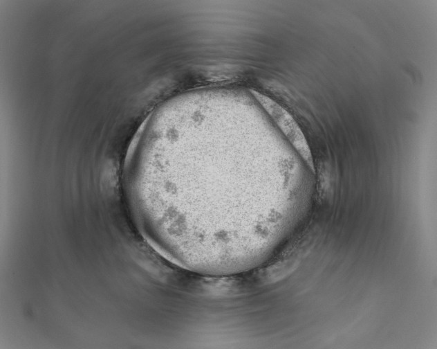 X0000112080667200909011045