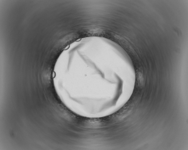 X0000112080668200909011045