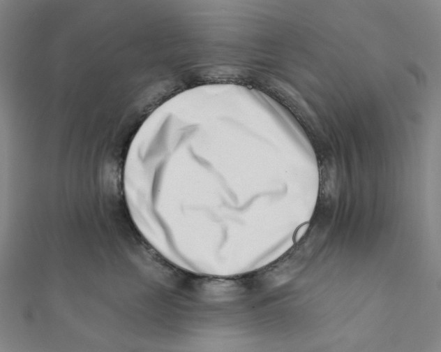 X0000112080669200909011045
