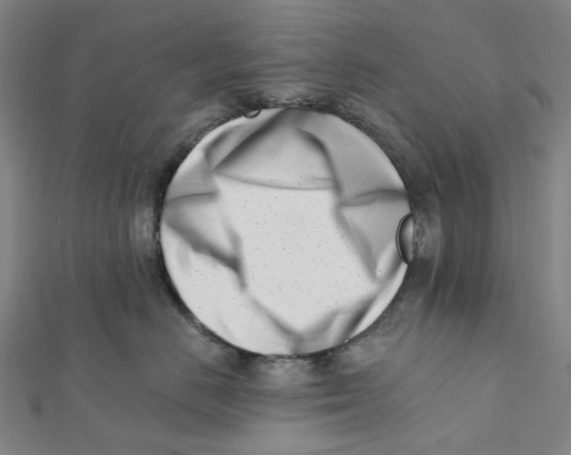 X0000112080670200909011045