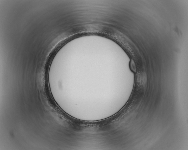 X0000112080676200909011044