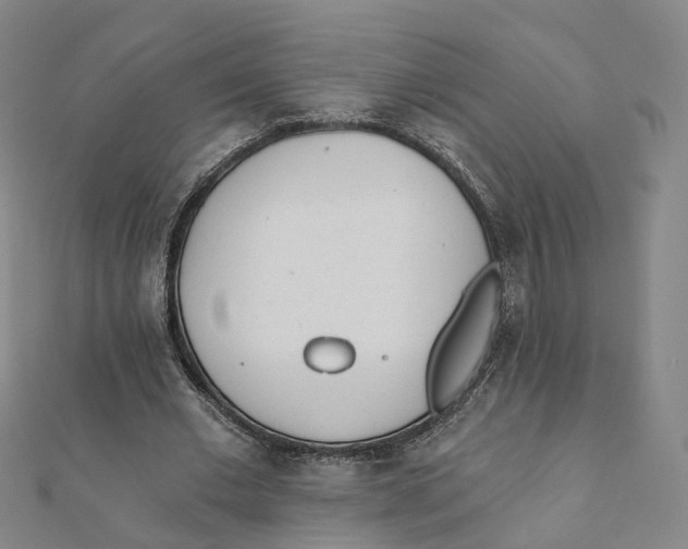X0000112080677200909011044