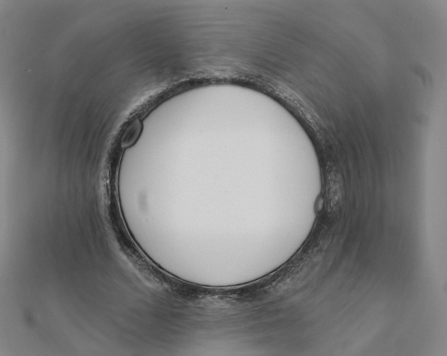 X0000112080680200909011044