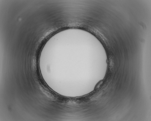 X0000112080684200909011044
